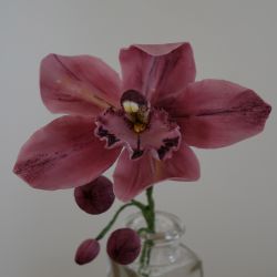 N°3000 - Orchidée